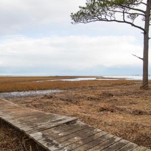 Photo #86 of 5445 MILFORD RD, CAPE CHARLES, VA 5.4 acres