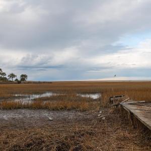 Photo #89 of 5445 MILFORD RD, CAPE CHARLES, VA 5.4 acres