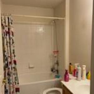 Photo #3 of 4170 CAPTAINS CORRIDOR, GREENBACKVILLE, VA 0.2 acres