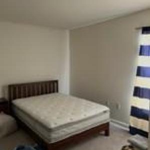 Photo #4 of 4170 CAPTAINS CORRIDOR, GREENBACKVILLE, VA 0.2 acres