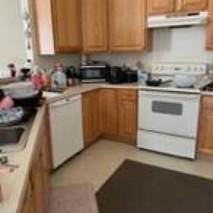 Photo #9 of 4170 CAPTAINS CORRIDOR, GREENBACKVILLE, VA 0.2 acres