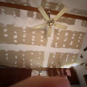 Photo #10 of 35483 WALTER ST, QUINBY, VA 4.1 acres