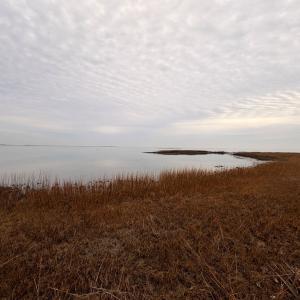 Photo #24 of 35483 WALTER ST, QUINBY, VA 4.1 acres