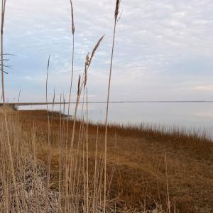 Photo #26 of 35483 WALTER ST, QUINBY, VA 4.1 acres