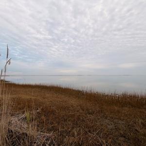 Photo #28 of 35483 WALTER ST, QUINBY, VA 4.1 acres