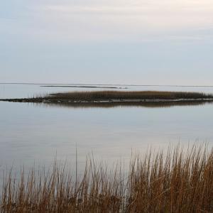 Photo #32 of 35483 WALTER ST, QUINBY, VA 4.1 acres