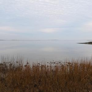 Photo #35 of 35483 WALTER ST, QUINBY, VA 4.1 acres