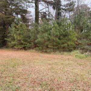 Photo #14 of 35483 WALTER ST, QUINBY, VA 4.1 acres