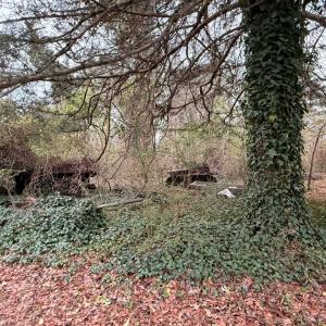 Photo #19 of 35483 WALTER ST, QUINBY, VA 4.1 acres