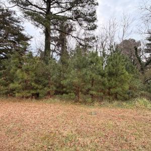 Photo #20 of 35483 WALTER ST, QUINBY, VA 4.1 acres