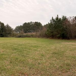 Photo #22 of 35483 WALTER ST, QUINBY, VA 4.1 acres