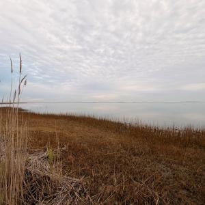 Photo #23 of 35483 WALTER ST, QUINBY, VA 4.1 acres