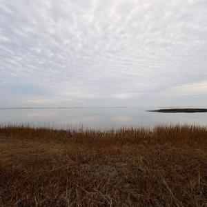 Photo #25 of 35483 WALTER ST, QUINBY, VA 4.1 acres