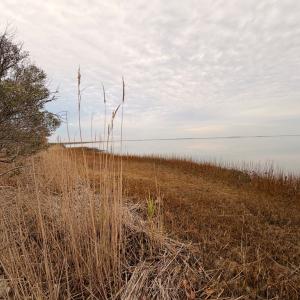 Photo #27 of 35483 WALTER ST, QUINBY, VA 4.1 acres