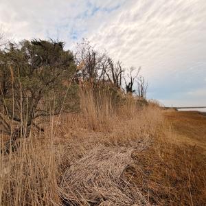 Photo #29 of 35483 WALTER ST, QUINBY, VA 4.1 acres