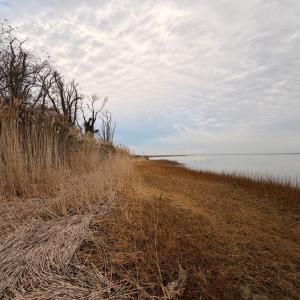 Photo #30 of 35483 WALTER ST, QUINBY, VA 4.1 acres