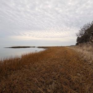 Photo #31 of 35483 WALTER ST, QUINBY, VA 4.1 acres