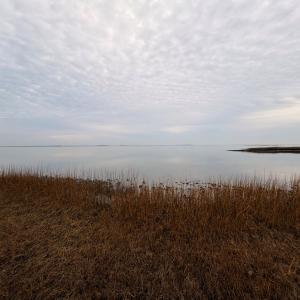 Photo #33 of 35483 WALTER ST, QUINBY, VA 4.1 acres