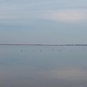 Photo #34 of 35483 WALTER ST, QUINBY, VA 4.1 acres