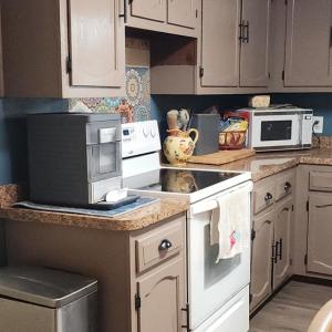 Photo #10 of 4192 DIVISION ST, CHINCOTEAGUE, VA 0.2 acres