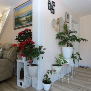 Photo #5 of 10008 ATLANTIC RD, ATLANTIC, VA 11,001.0 acres