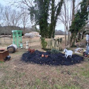 Photo #59 of 17248 MAIN ST, PAINTER, VA 0.8 acres