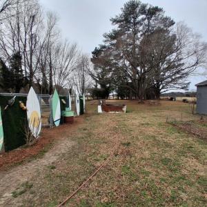 Photo #61 of 17248 MAIN ST, PAINTER, VA 0.8 acres