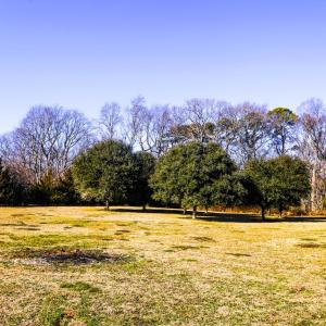 Photo #2 of 12148 ATLANTIC RD, TEMPERANCEVILLE, VA 3.0 acres