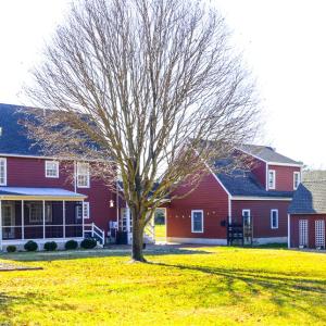 Photo #6 of 12148 ATLANTIC RD, TEMPERANCEVILLE, VA 3.0 acres