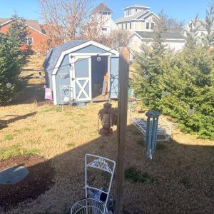 Backyard/Shed