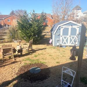 Backyard/Shed
