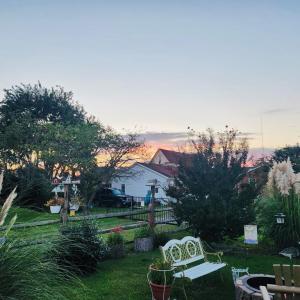 Backyard in Bloom/Sunsets