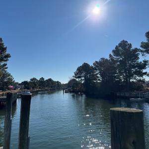 Photo #18 of 20309 CANVASBACK LN, ONANCOCK, VA 0.5 acres