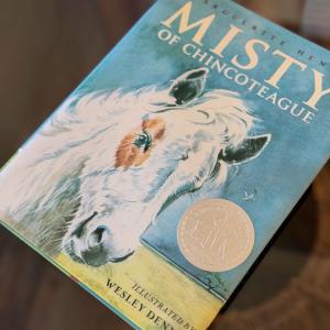 Photo #26 of 5403 PEARL DR, CHINCOTEAGUE, VA 10.0 acres