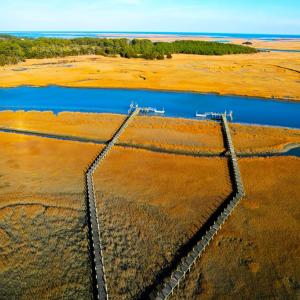 Photo #3 of 25323 OCEANVIEW COURT, ACCOMAC, VA 3.8 acres