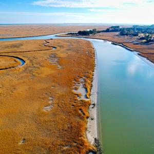 Photo #7 of 25323 OCEANVIEW COURT, ACCOMAC, VA 3.8 acres