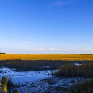 Photo #12 of 25323 OCEANVIEW COURT, ACCOMAC, VA 3.8 acres