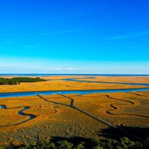 Photo #2 of 25323 OCEANVIEW COURT, ACCOMAC, VA 3.8 acres