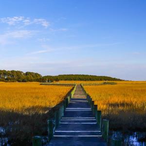 Photo #14 of 25323 OCEANVIEW COURT, ACCOMAC, VA 3.8 acres