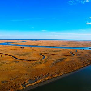 Photo #4 of 25323 OCEANVIEW COURT, ACCOMAC, VA 3.8 acres