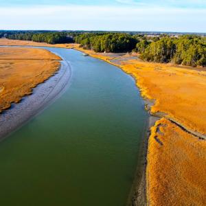 Photo #5 of 25323 OCEANVIEW COURT, ACCOMAC, VA 3.8 acres