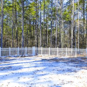 Photo #4 of 33228 HOLLY LANE, WALLOPS ISLAND, VA 1.6 acres