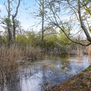 Photo #29 of 6498 CHURCH ST, CHINCOTEAGUE, VA 0.4 acres