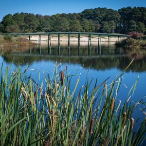 Photo #75 of 518 WALBRIDGE BEND, CAPE CHARLES, VA 0.2 acres