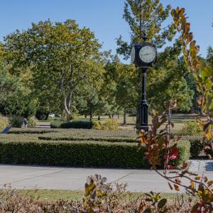 Photo #80 of 518 WALBRIDGE BEND, CAPE CHARLES, VA 0.2 acres