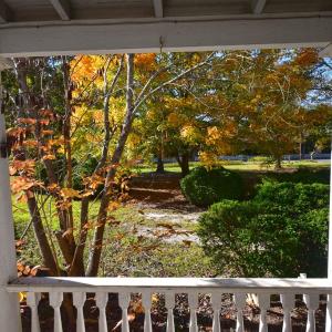 Photo #14 of 16367 COURTHOUSE RD, EASTVILLE, VA 1.8 acres