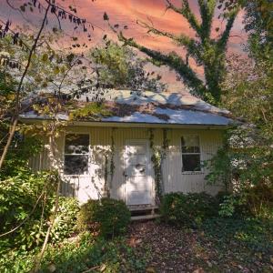 Photo #22 of 16349 COURTHOUSE RD, EASTVILLE, VA 1.8 acres