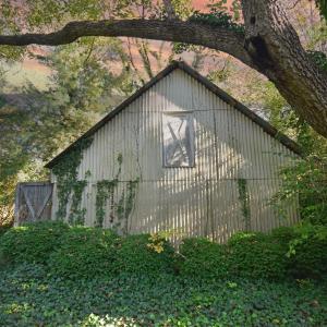 Photo #21 of 16349 COURTHOUSE RD, EASTVILLE, VA 1.8 acres