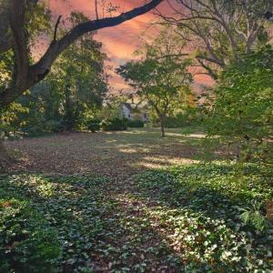 Photo #5 of 16349 COURTHOUSE RD, EASTVILLE, VA 1.8 acres