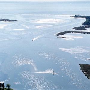 Photo #21 of 10397 BAYSIDE RD, MACHIPONGO, VA 0.3 acres